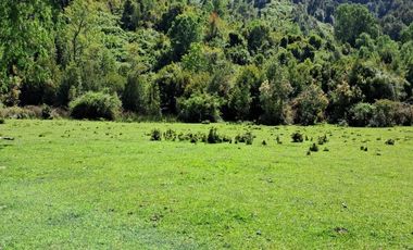 CAMPO AGRÍCOLA GANADERO EN LA COMUNA DE FUTRONO