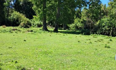 CAMPO AGRÍCOLA GANADERO EN LA COMUNA DE FUTRONO