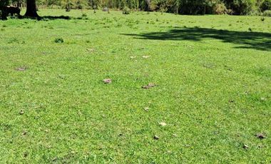 CAMPO AGRÍCOLA GANADERO EN LA COMUNA DE FUTRONO