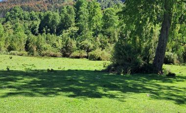 CAMPO AGRÍCOLA GANADERO EN LA COMUNA DE FUTRONO