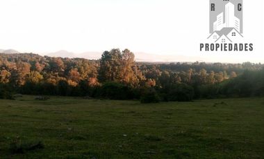 CAMPO AGRÍCOLA GANADERO EN LA COMUNA DE FUTRONO