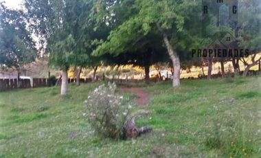 CAMPO AGRÍCOLA GANADERO EN LA COMUNA DE FUTRONO