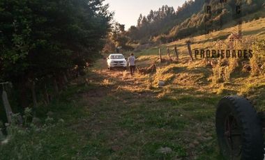 CAMPO AGRÍCOLA GANADERO EN LA COMUNA DE FUTRONO