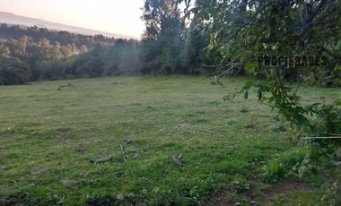 CAMPO AGRÍCOLA GANADERO EN LA COMUNA DE FUTRONO