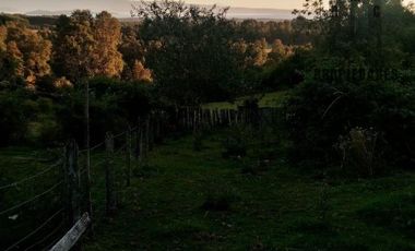 CAMPO AGRÍCOLA GANADERO EN LA COMUNA DE FUTRONO