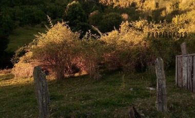 CAMPO AGRÍCOLA GANADERO EN LA COMUNA DE FUTRONO