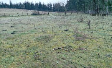 TERRENO DE 5.5 HECTÁREAS CERCANO A LA UNION