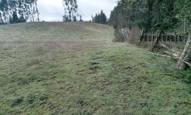TERRENO DE 5.5 HECTÁREAS CERCANO A LA UNION