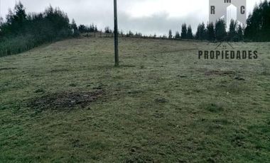 TERRENO DE 5.5 HECTÁREAS CERCANO A LA UNION