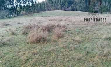 TERRENO DE 5.5 HECTÁREAS CERCANO A LA UNION