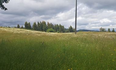 TERRENO DE 5.5 HECTÁREAS CERCANO A LA UNION