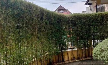 4bedrooms house for sale near suburbia subd., Parang marikina city