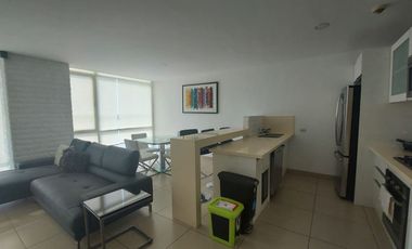 Samborondon, Venta de Hermoso Departamento 2 Dorm. y Estudio Amoblado