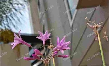 DEPARTAMENTOS NUEVOS EN VENTA RESIDENCIAL SANTA CRUZ. Naucalpan de Juárez.