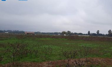 TERRENO SECTOR LA BATALLA – CAMINO A PELARCO