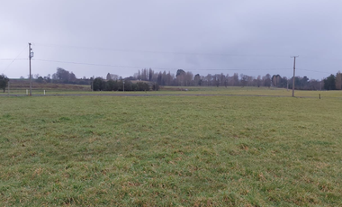 Venta de Parcela de 5000m2 en fundo Trafún, Rio Bueno