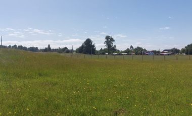 Venta de Parcela de 5000m2 en fundo Trafún, Rio Bueno