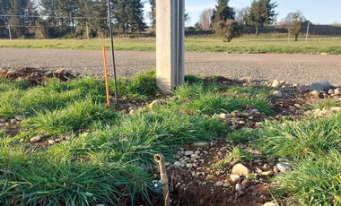 Venta de Parcela de 5000m2 en fundo Trafún, Rio Bueno