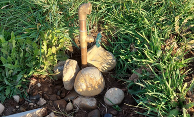 Venta de Parcela de 5000m2 en fundo Trafún, Rio Bueno