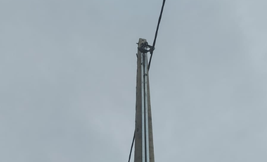 Venta de Parcela de 5000m2 en fundo Trafún, Rio Bueno