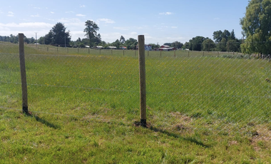 Venta de Parcela de 5000m2 en fundo Trafún, Rio Bueno