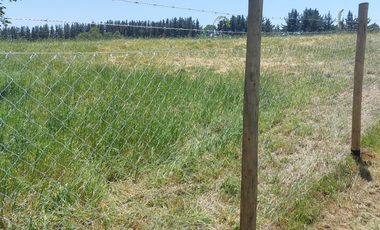 Venta de Parcela de 5000m2 en fundo Trafún, Rio Bueno