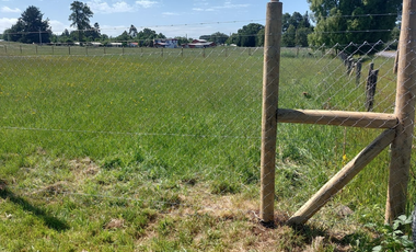 Venta de Parcela de 5000m2 en fundo Trafún, Rio Bueno