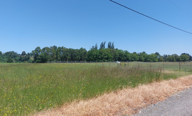 Venta de Parcela de 5000m2 en fundo Trafún, Rio Bueno