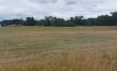 Venta de Parcela de 5000m2 en fundo Trafún, Rio Bueno