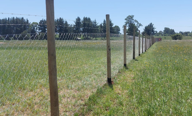 Venta de Parcela de 5000m2 en fundo Trafún, Rio Bueno