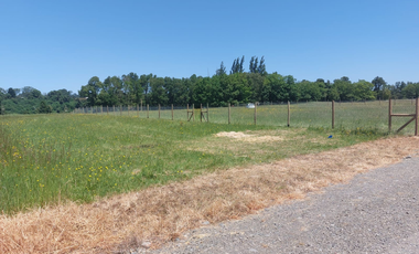 Venta de Parcela de 5000m2 en fundo Trafún, Rio Bueno