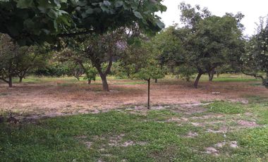 SE VENDE PARCELA 5000,TALAGANTE