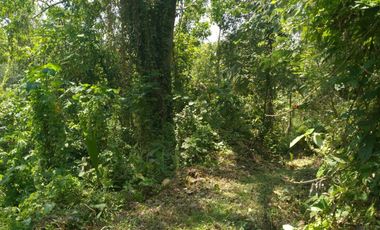 Freehold - 1.500 sqm Riverfront land for sale in south Ubud