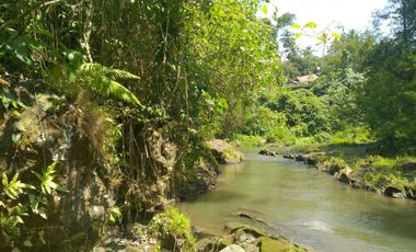 Freehold - 1.500 sqm Riverfront land for sale in south Ubud