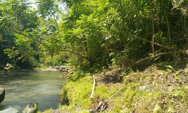 Freehold - 1.500 sqm Riverfront land for sale in south Ubud