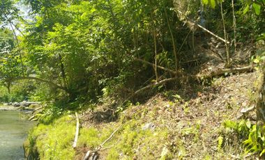Freehold - 1.500 sqm Riverfront land for sale in south Ubud