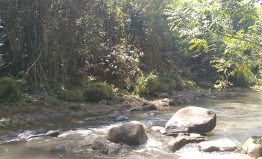 Freehold - 1.500 sqm Riverfront land for sale in south Ubud