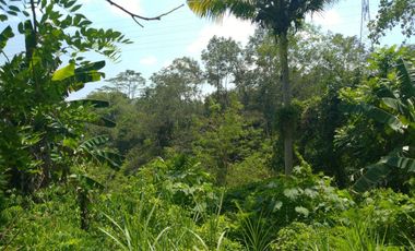 Freehold - 1.500 sqm Riverfront land for sale in south Ubud