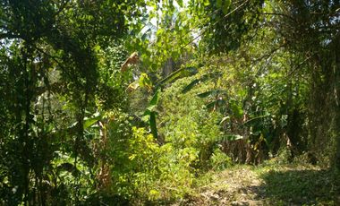 Freehold - 1.500 sqm Riverfront land for sale in south Ubud