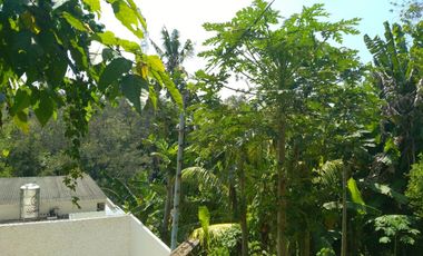 Freehold - 1.500 sqm Riverfront land for sale in south Ubud