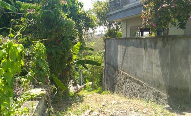 Freehold - 1.500 sqm Riverfront land for sale in south Ubud