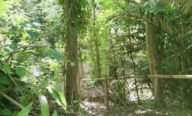 Freehold - 1.500 sqm Riverfront land for sale in south Ubud