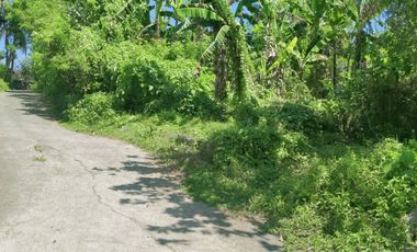 Freehold - 1.500 sqm Riverfront land for sale in south Ubud