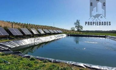 CAMPO AUTOSUSTENTABLE CON PLANTACIÓN DE AVELLANO EUROPEO