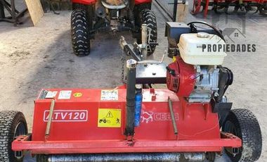 CAMPO AUTOSUSTENTABLE CON PLANTACIÓN DE AVELLANO EUROPEO