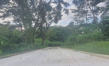 TERRENOS EN VENTA FRACCIONAMIENTO SAN BENITO, COATEPEC