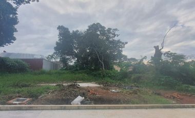 TERRENOS EN VENTA FRACCIONAMIENTO SAN BENITO, COATEPEC