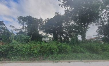 TERRENOS EN VENTA FRACCIONAMIENTO SAN BENITO, COATEPEC