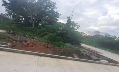 TERRENOS EN VENTA FRACCIONAMIENTO SAN BENITO, COATEPEC