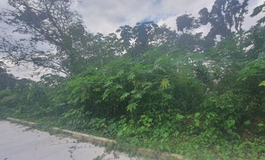 TERRENOS EN VENTA FRACCIONAMIENTO SAN BENITO, COATEPEC